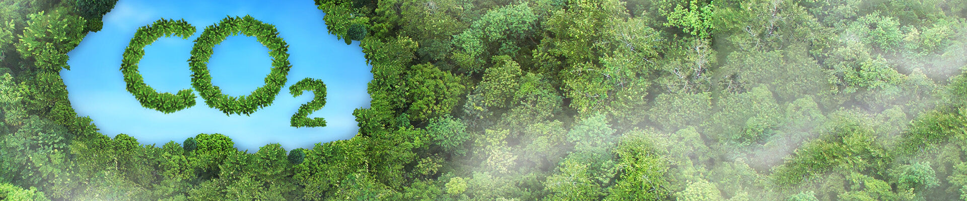 CO2 reduction in practice: 5 questions and answers