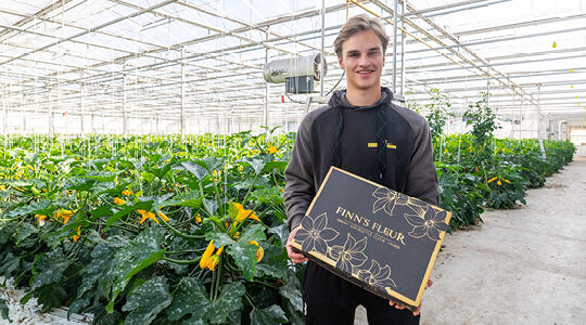 Premiumverpackung für Zucchiniblüten, die um die Welt reisen