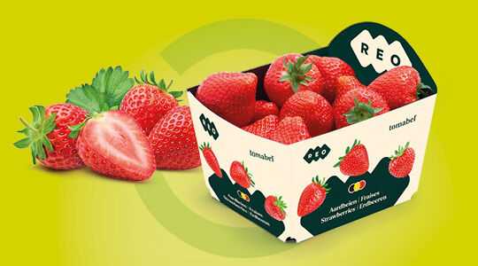 How REO ensures the quality of fruit and vegetables with the right packaging