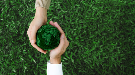 How sustainable were we in 2025? Find out all the details…