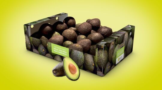Efficient avocado packaging for export