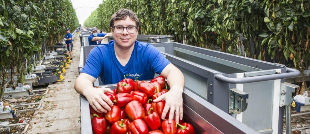 Erik Gubbels paprika voorkeur